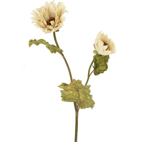 Kunstig Blomst Poppy Queen 75 Cm Creme Ambiplants Dk