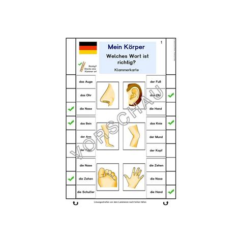 Unterrichtsmaterial F R Daf Daz Zum Thema Mein K Rper