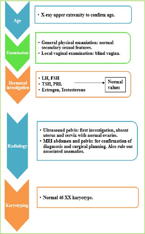 Figure 1 From MRKH Syndrome A Review Of Literature Semantic Scholar