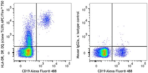 Pacific Blue Anti Human Tcr Alphabeta Antibody Anti Tcr Alphabeta Ip26