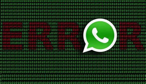 Whatsapp ¿qué Hacer Si No Puedo Enviar Ni Recibir Mensajes En La