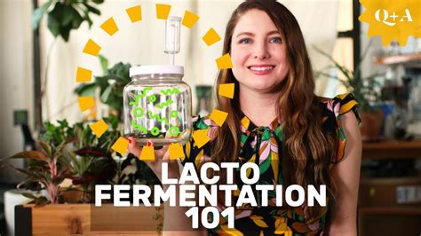 Fermentation 101 Guide To Lacto Fermenting Foods YouTube