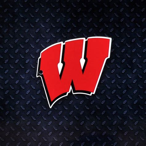 Download wisconsin badgers logo wallpaper Bhmpics