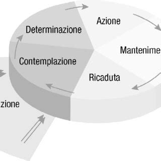 Gli Stadi Del Modello Transteorico E Il Processo Circolare Del