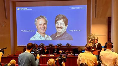 Nobelpreis für Medizin geht an zwei US Genetiker DW 07 10 2024