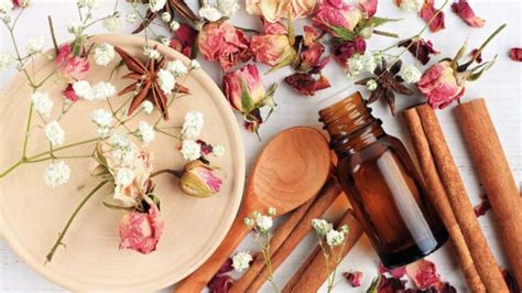 Formation aromathérapie le guide complet Terra Naturel