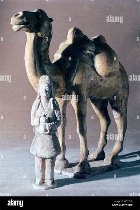 Tang Dynasty Camel Hi Res Stock Photography And Images Alamy