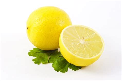 What are the different types of lemon varieties?