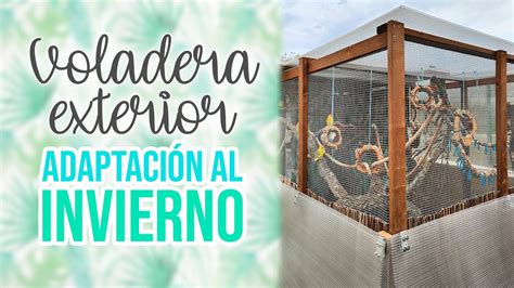 Voladera Exterior Para Loros En Invierno Saratorressoler Youtube