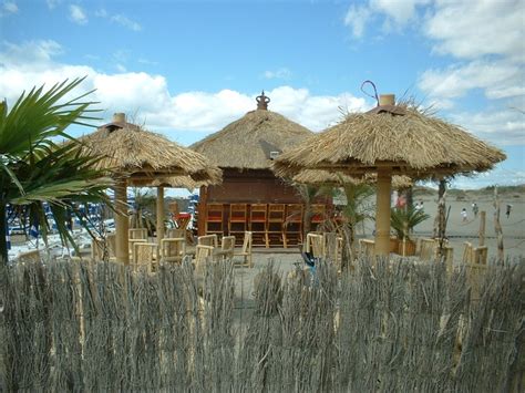 Beach Bar Beach Bars South Padre Island Tiki Hut