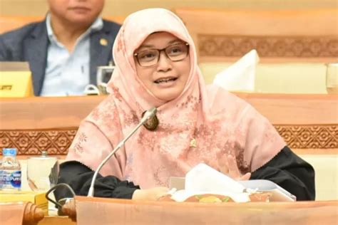 Anggota Komisi Vii Dpr Ri Minta Pln Dan Kementerian Esdm Perhatikan