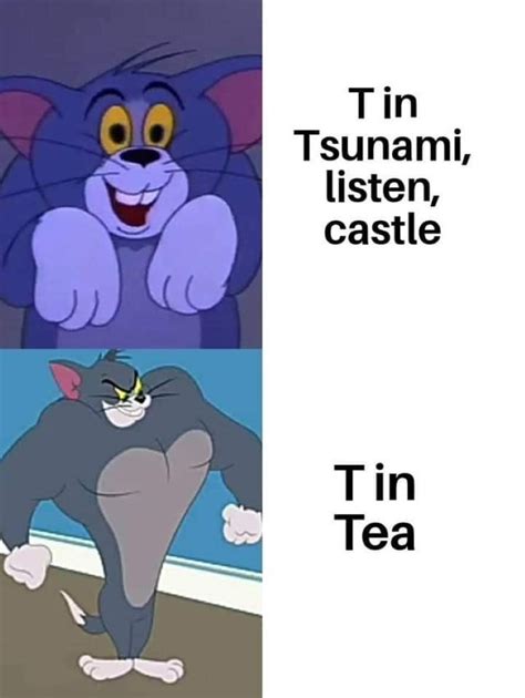 160 Funny Tom And Jerry Memes To Keep You Laughing Fandomspot Catking