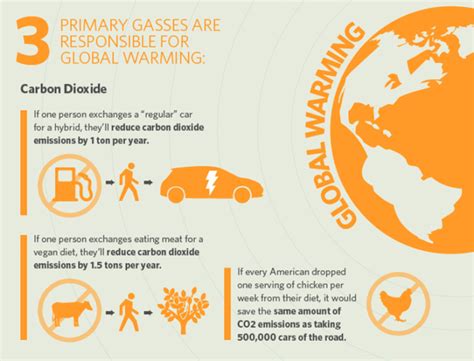 Veganism and the Environment Infographic Shows the Environmental Impact of Raising Animals for Food