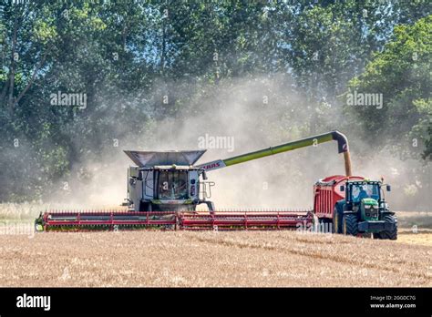 Claas Lexion 8900 Mähdrescher arbeiten und Abladen von Getreide zu