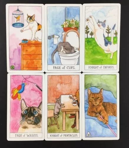 Tarot Gatos Cat Tarot Gatitos 78 Cartas Gato en venta en Coyoacán