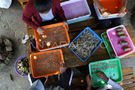 PRODUKSI KERUPUK TULANG IKAN PATIN ANTARA Foto