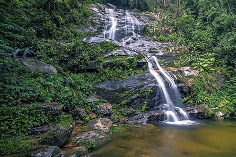 Half Day Tour Tijuca National Park | Rio Tour Guide