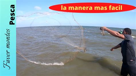 Como Pescar Con Atarraya 2020 Pescando Lisas Con Atarraya YouTube