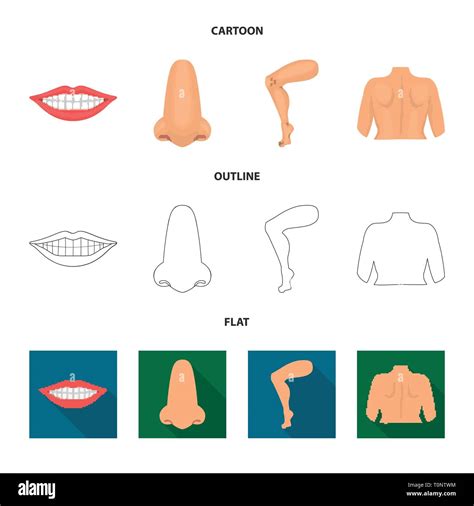 Vector Design Of Body And Part Logo Collection Of Body And Anatomy