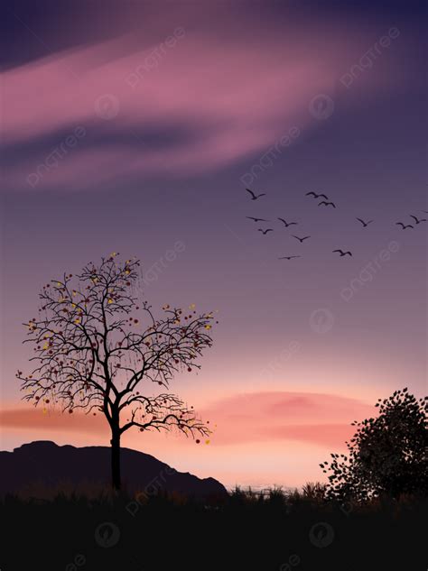 Evening Sky Background Hd Infoupdate Org