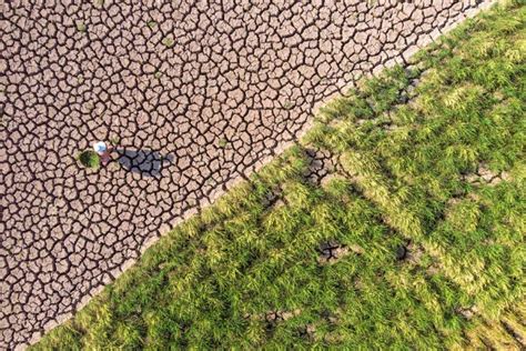 China Renews Orange Alert For Drought Cn