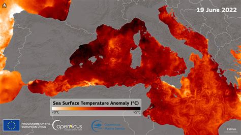 Extreme Hitze im Sommer 2024 Über 40 Grad und Sahara Outbreaks möglich