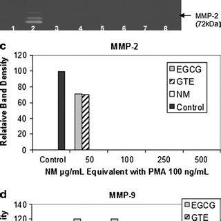 Comparative Effects Of Egcg Gte And Nm On Mmp And Mmp Expression