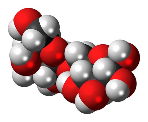 Model of allolactose molecule in chemistry free image download