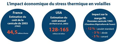 Les impacts du stress thermique en élevage Weezyou