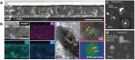 A Crosssectional SEM Image Of Perovskite Solar Cells The Bright