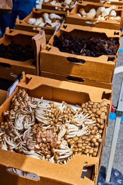 Premium Photo Several Different Mushrooms In Cardboard Boxes On Table