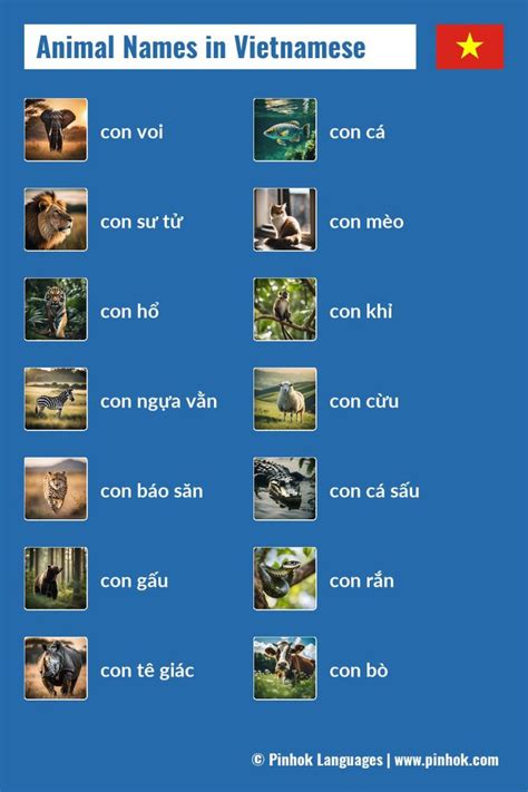 animal names  vietnamese learn vietnamese animals vietnamese