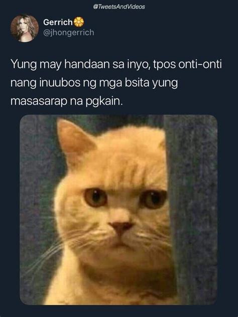 Funny Animal Memes Tagalog