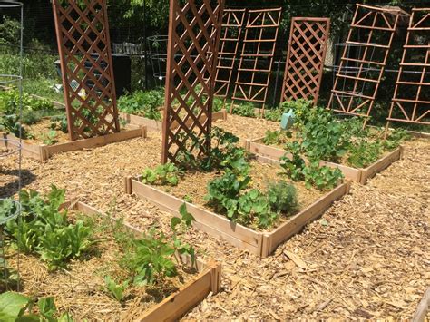 Permaculture Garden Design Ideas To Try This Year Sharonsable