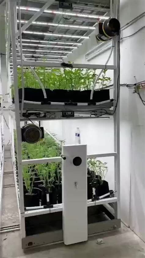 Skyplant Hydroponic Mobile Grow Rack System Horticulture Vertical Grow