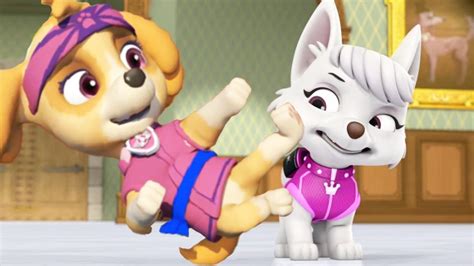 Paw Patrol Mission Paw Kung Fu Pups Royal Crown Rescue Nickelodeon