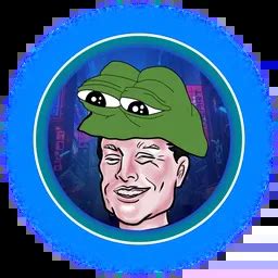 PEPE MUSK (PPM) coin contract is 0x1619bcc91e2c90E0eDfb2C95EC897f0C0F393541