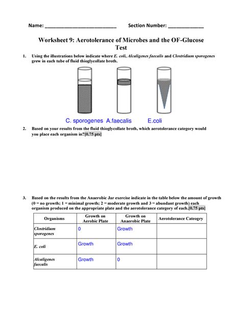 Worksheet New Worksheet Aerotolerance Of Microbes And