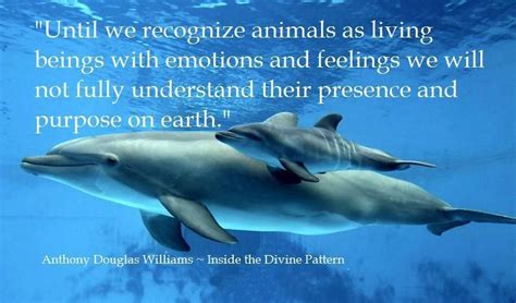 Cute Dolphin Quotes Quotesgram