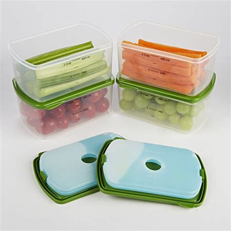 Fit And Fresh 4 Piece Salad Shaker With Removable Ice Pack And Dressing Dispenser