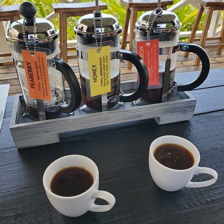 Hala Tree Organic Kona Coffee Farm Captain Cook All You Need To