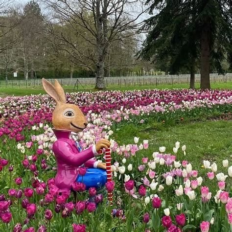 Yukiko Fuse Search Xvideos My XXX Hot Girl