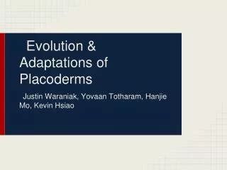 PPT - Adaptations and Evolution PowerPoint Presentation, free download - ID:2825283