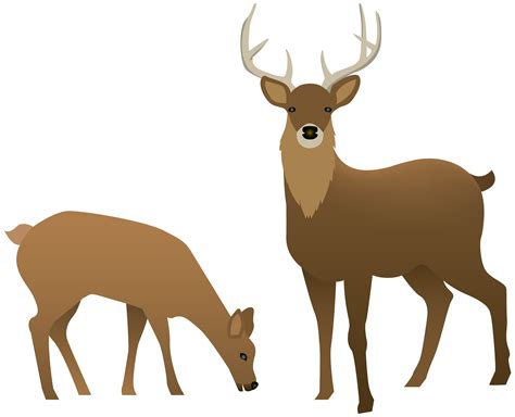 Stag Png 10 Free Cliparts Download Images On Clipground 2024