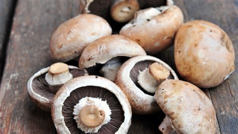 Mushrooms Can Benefit Gout Sufferers