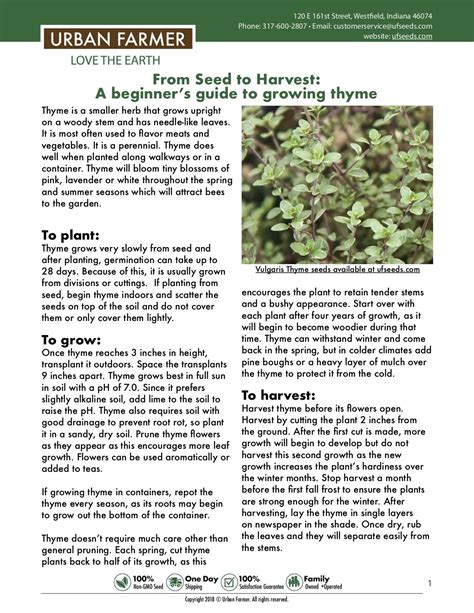 How To Grow Thyme 5 Tips For Growing Thyme Artofit