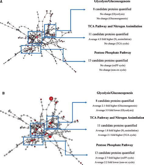 Visualizations Of The Metabolic Network Reconstruction For All Download Scientific Diagram