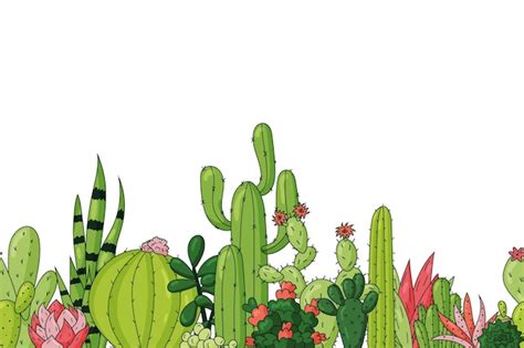 Bordure Harmonieuse De Diff Rentes Plantes Succulentes Et Cactus