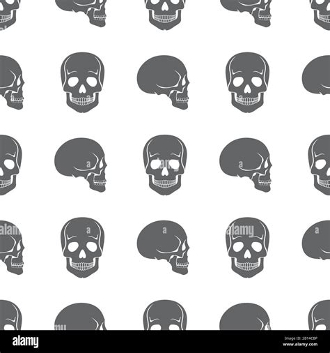 Human Skulls On White Seamless Pattern Bone And Death Vector Illustration Stock Vector Image