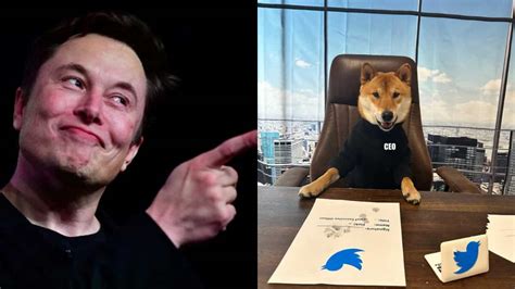 Elon Musk Posts Satirical Picture Of Twitters ‘new Ceo Announces A